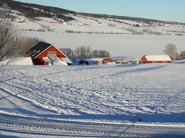Einafjorden 2